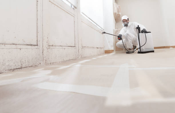 24/7 Emergency Mold Inspection experts in Lexington, TX